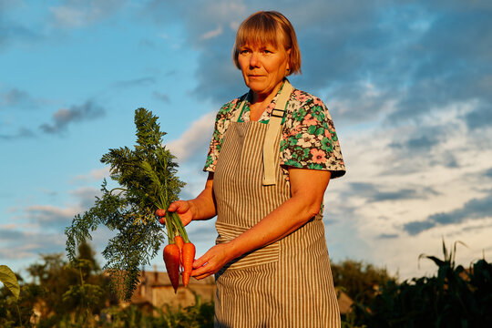 A woman stands in a garden at sunset holding two fresh carrots. She wears an apron and looks proudly at the camera. The sky has colorful clouds