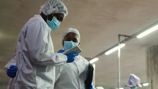 Supervisory team wearing PPE meticulously inspects the mackerel or sardine production line from canning to tomato sauce filling on conveyor belts in industrial seafood processing plants.