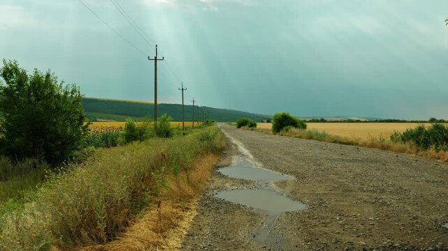 Dirt road with water puddles after rain running alongside golden wheat fields and green trees under a dramatic sky. Empty rural countryside way.
