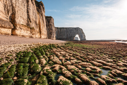 Low tide reveals textures along the coastline with chalk cliffs and a natural arch in the distance near Etretat, Normandy, France