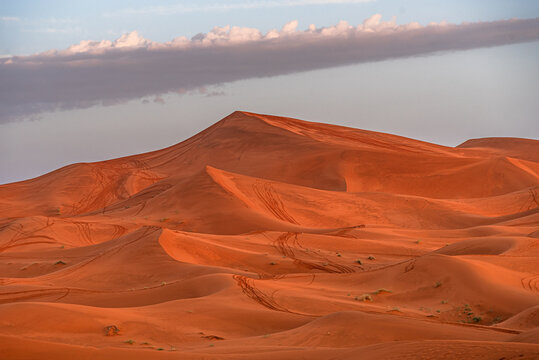 Sculpted Sahara dunes stretch across the landscape near Merzouga, showing ripples and patterns under a clear sky