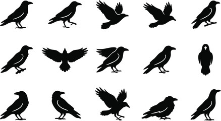 Naklejka premium Raven silhouettes collection diverse poses for graphic design and halloween projects