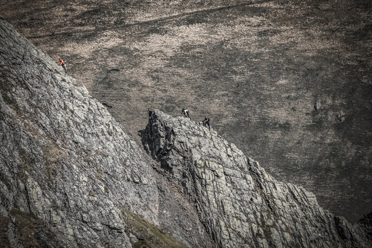Hikers navigate Sharp Edge on Blencathra under warm weather in the English Lake District, Cumbria, UK