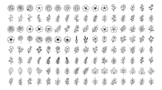 Minimalist hand drawn floral icons set, black line art botanical doodles, collection of 112 vector flower and leaf illustrations for wedding branding