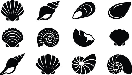 Black silhouette of various seashells and nautilus shells black silhouettes scallop shell cockle shell © Arifa