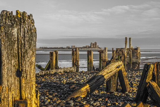 View of Piel Island from South Walney Nature Reserve on Walney Island in the United Kingdom during low tide