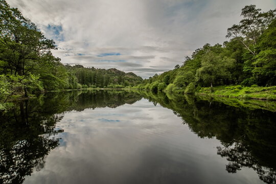 Reflections observed at Yew Tree Tarn in Coniston, highlighting the trees and sky in the English Lake District