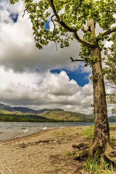 View across water with trees and mountains in Coniston, Cumbria on a breezy June day