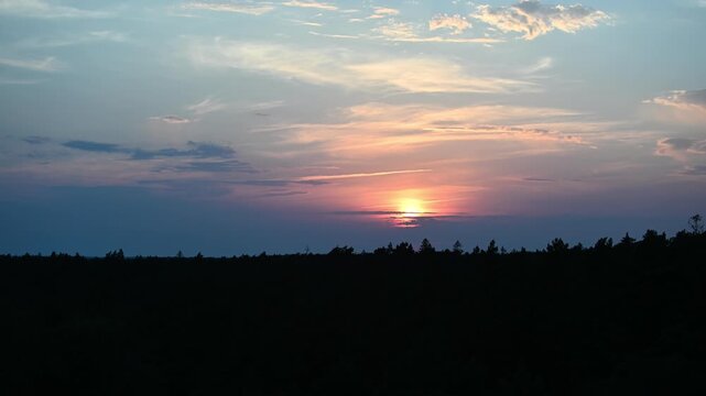 Sunset over a forest