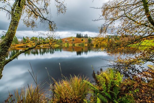 Autumn scene at Tarn Hows in the Lake District with reflections on the water and colorful trees