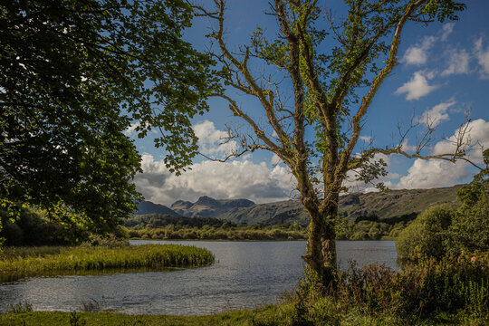 Late summer view of River Brathay with Langdale Pikes in the distance in the English Lake District