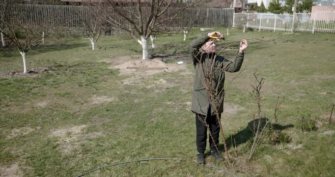 Kid Cuts Rose Branches. Caucasian Boy Help Working Around Backyard. 4K 10-bit