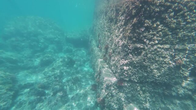 Underwater exploring along a rocky seabed reef