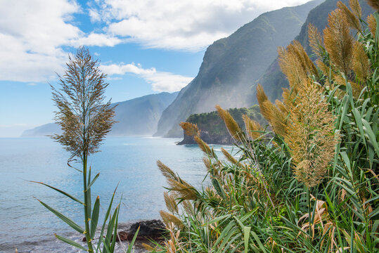View of the north-west coast of Madeira from a promontory at Seixal overlooking the North Atlantic Ocean