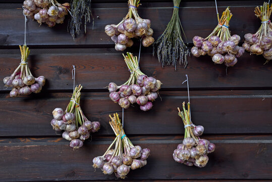 Garlic bunches drying on a wooden wall in Iwkowa village, Poland, showcasing local agricultural practices