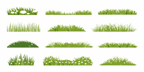 Collection Of Green Grass And Dandelion Seedhead Vector Illustration © Nasir