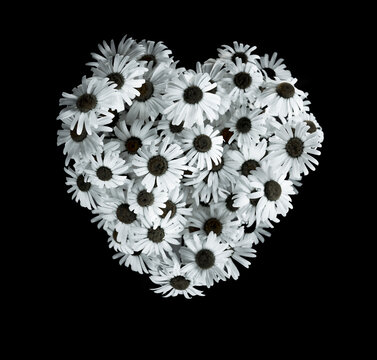 Herz aus Margeritenblumen