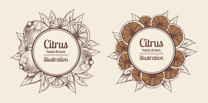 Lemons vintage banners set. Many big whole fruits, leaves, slices frame hand drawn. Round composition. Central text. Retro design. Old style food illustration. Ink sketch on brown paper. Engraving art
