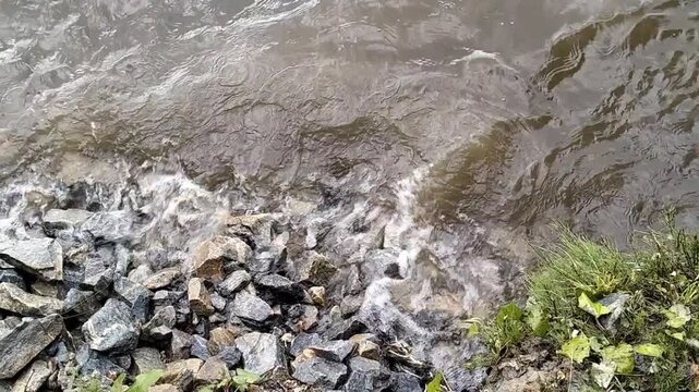 Muddy river water splashing gently against rocky shore with green grass on the bank, showcasing soil erosion and natural flood protection concepts