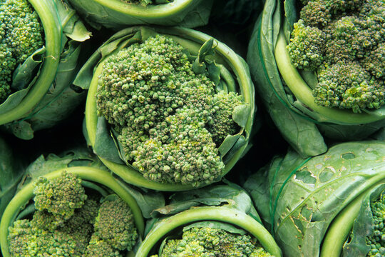 Fresh broccoli ready for sale in a market in Thailand during the harvest season