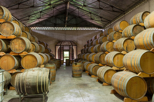 Ageing cellar holds barrels for rum production at La Mauny Distillery in Martinique