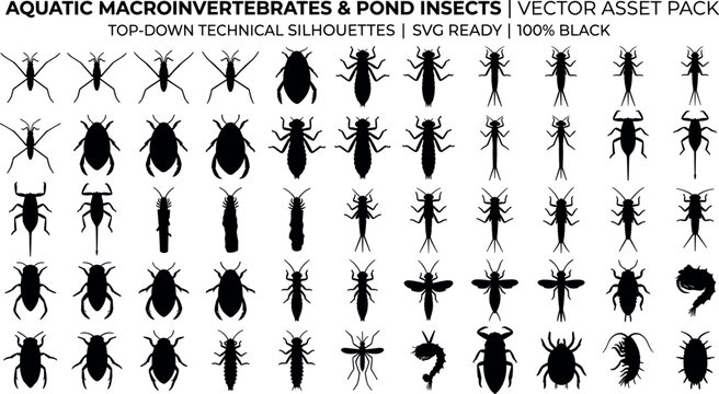 Black aquatic macroinvertebrates and pond insects silhouettes set for technical biological vector illustrations