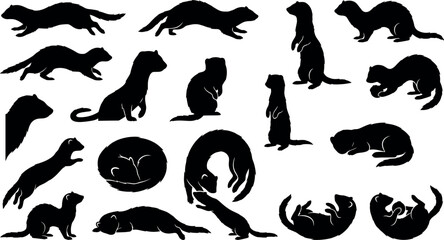 Fototapeta premium Ferret silhouette vector collection with weasel and mink shapes in various poses