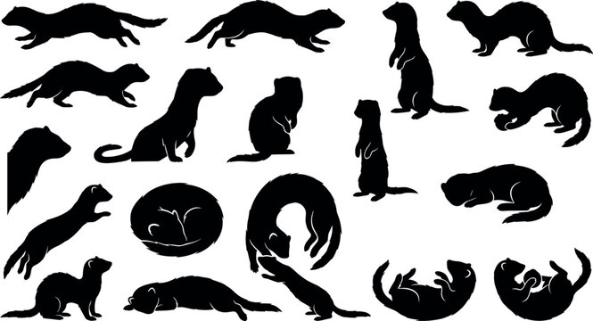 Ferret silhouette vector collection with weasel and mink shapes in various poses