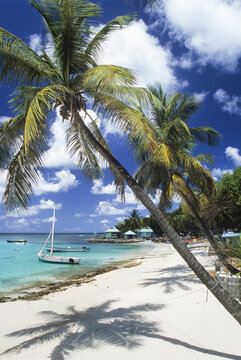 Fishermens beach on Mustique island with boats and palm trees under a bright sky