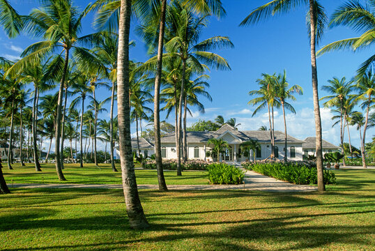 Luxury residence situated amidst palm trees on Mustique Island in the Caribbean with clear skies and lush greenery