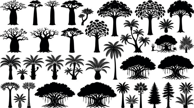 Tropical and exotic trees silhouettes collection including baobab palm and banyan vector packTropical and exotic trees silhouettes collection including baobab palm and banyan vector pack