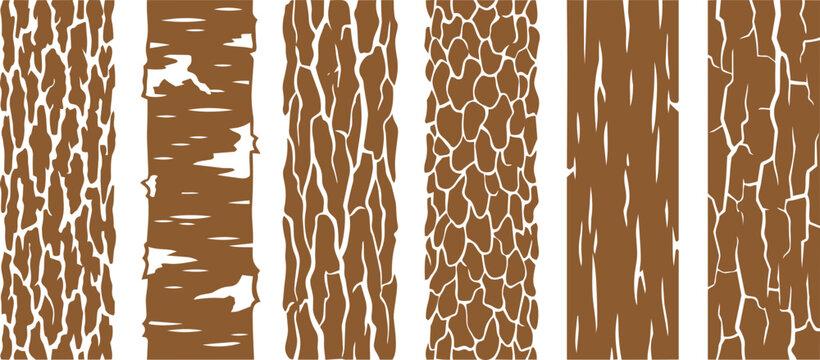 Detailed brown vector illustration showing six distinct tree bark patterns for organic nature graphic design projects