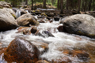 Rushing Mountain Stream Cascades Over Boulders in a Colorado Forest © Jonathan