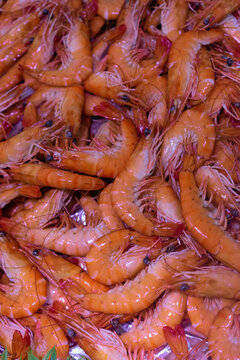 Fresh prawns on display at a market in France during the summer season to attract seafood lovers