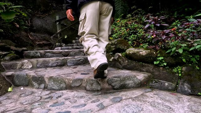 Hiker Walking Up Stone Steps in Ecuador Cloud Forest, Mountain Trail, Garden Path, Tropical Vegetation and Ecotourism Travel Scene