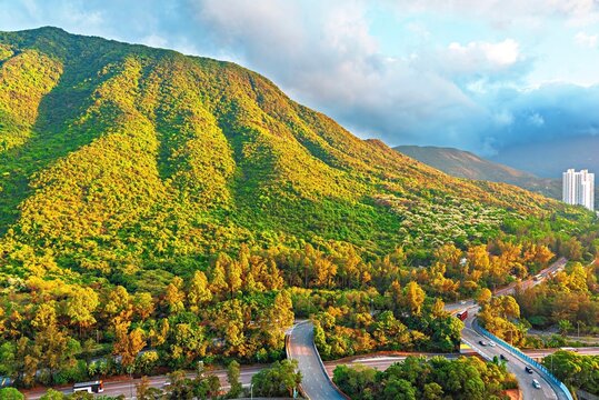 Colorful scenery of spring in the hills of Tung Chung on Lantau Island in Hong Kong with lush greenery and clear sky