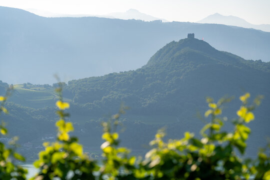 A scenic path through a lush vineyard overlooking a beautiful lake and mountains in Italy
