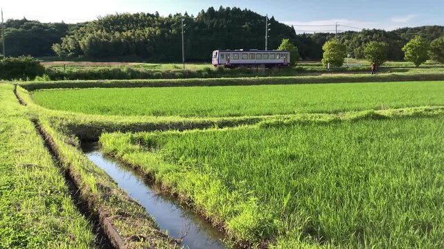 JR Kansai Line &ndash; Close-Up of Single Car Train Passing Through Countryside in 4K 60fps