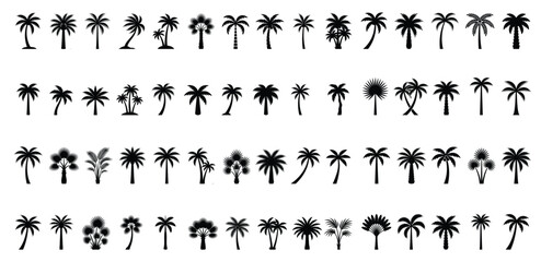 Tropical Palm Tree Silhouette Collection Vector Icons Isolated on White Background © Panji