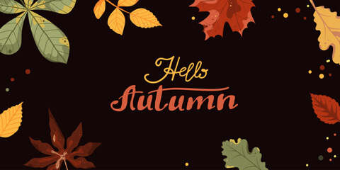Fototapeta premium Hello Autumn horizontal banner on dark background. Colorful falling leaves frame with maple, oak, chestnut, foliage. Vector illustration for seasonal design. 