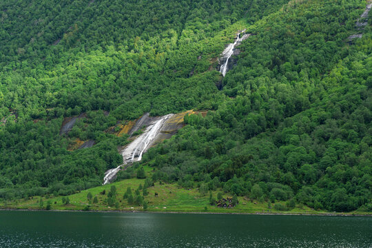 Waterfalls flow down green hills beside a lake in Vestland, Norway during a clear day with bright sunlight shining on the landscape