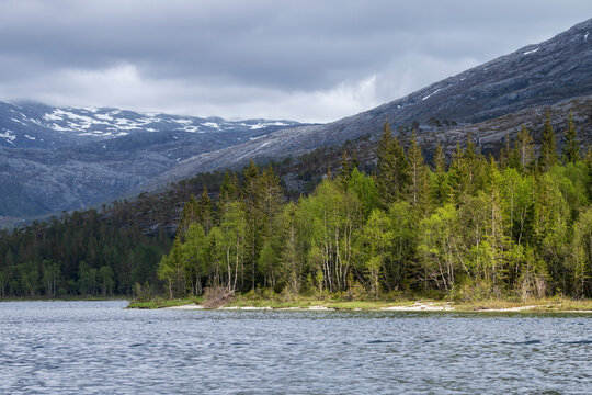 Lomsdal-Visten National Park features trees along the lakeshore with mountains in the background during cloudy weather