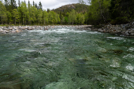 Crystal clear river flows through Lomsdal-Visten National Park with green trees and rocky banks in Norway