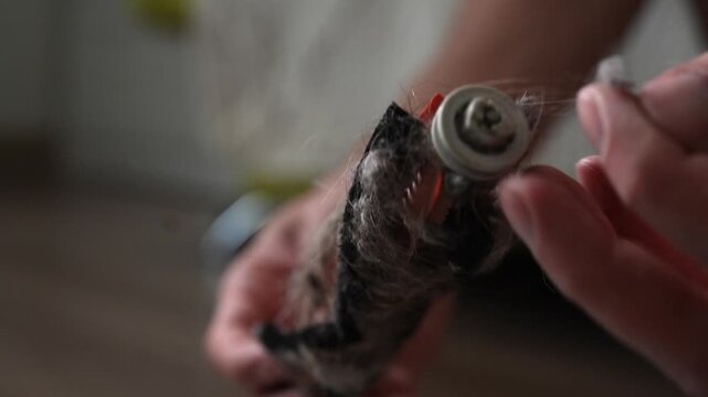 Person hands removing large clump of tangled hair, dust, debris from dirty vacuum cleaner roller brush, concept of routine appliance maintenance and cleaning, close-up, slow motion.