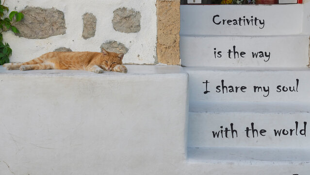Cat resting on a stairway with creative text on wall in Skala, Patmos, Dodecanese Islands, Greece