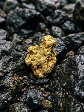 Natural gold nugget resting on dark wet river stones, precious metal in its raw state.