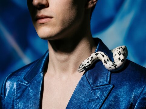 Person wearing a metallic blue suit with a patterned white and black snake on their shoulder.