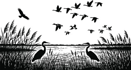 Black, silhouette, landscape, featuring, wild, birds, herons, and, migrating, geese, flying, over, a, serene, lake, surrounded, by, tall, reeds, on, white, background. © Sajib