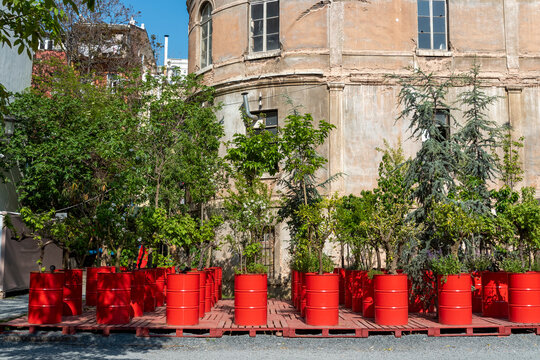 Plants grow in red containers near a historic building in a public space during daylight