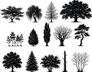 Set of detailed black tree silhouettes, collection of various deciduous and coniferous forest plants, vector illustration, isolated on white background, natural elements © Sajib